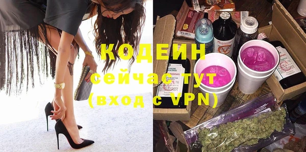 индика Тобольск